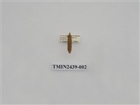 藏品(黃達頂苔蛾)的圖片